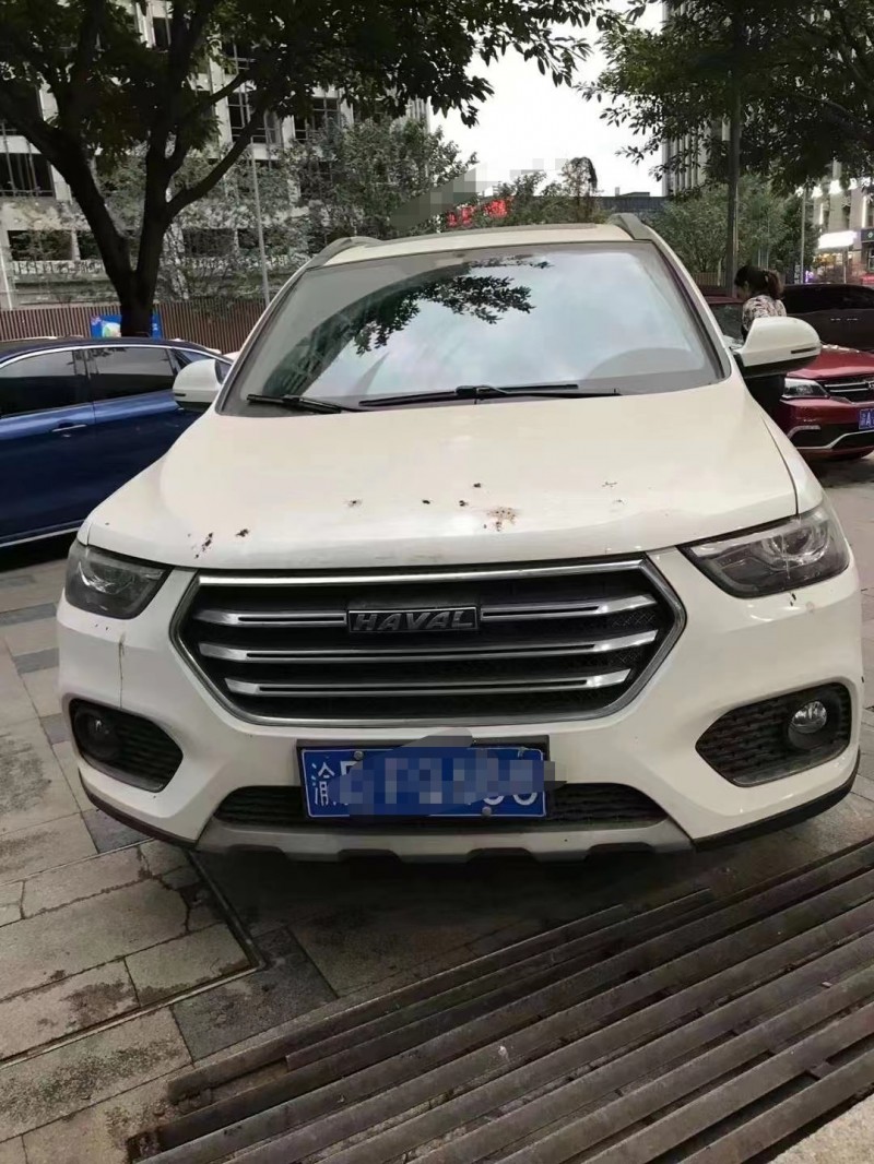 重庆20年长城汽车H6
