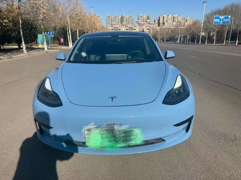 21年淄博特斯拉MODEL 3