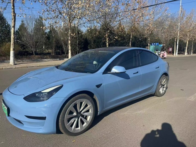 21年淄博特斯拉MODEL 3