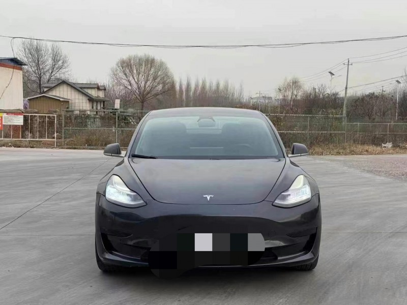 20年枣庄特斯拉MODEL 3