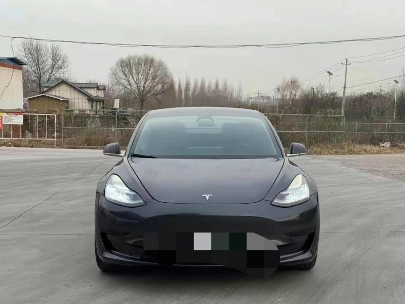 20年潍坊特斯拉MODEL 3