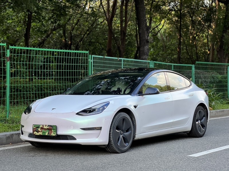 19年佛山特斯拉MODEL 3