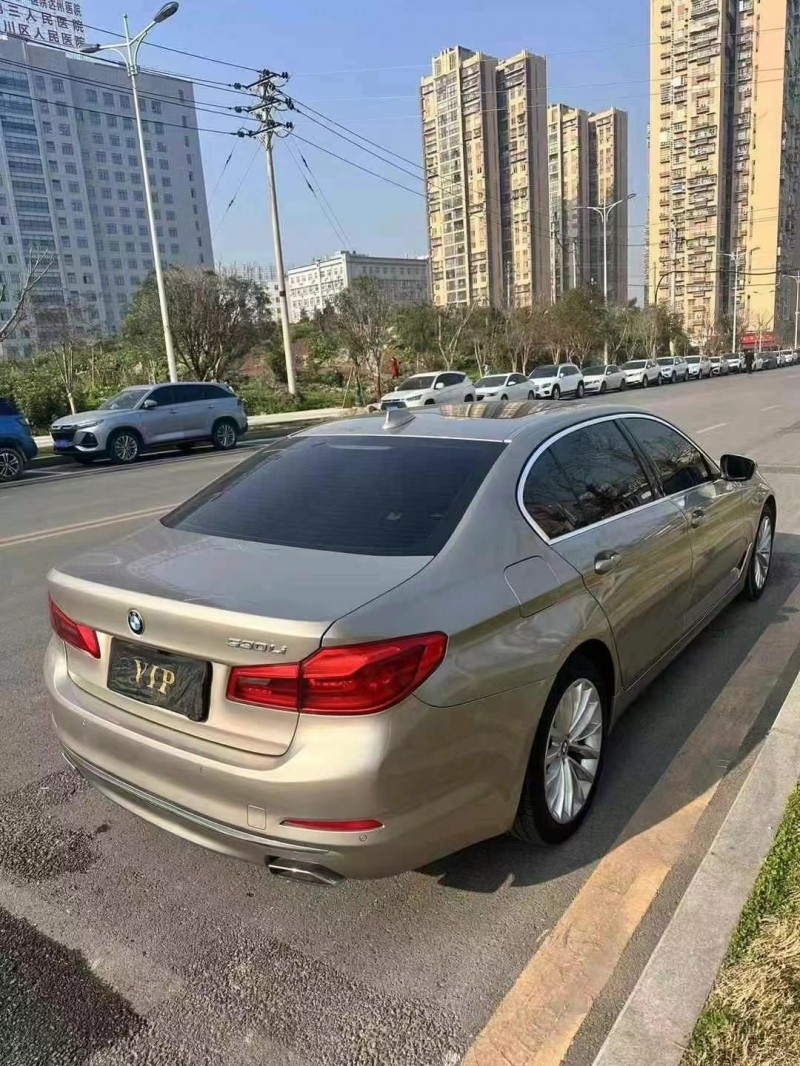 19年德阳宝马5系