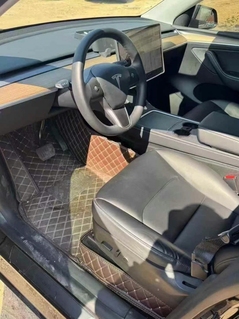 22年枣庄特斯拉MODEL Y