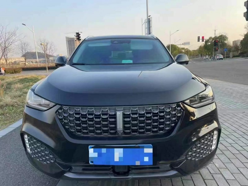 19年湖州长城汽车WEY VV6