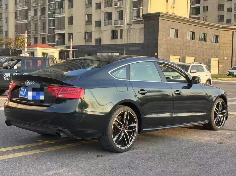 15年岳阳奥迪A5