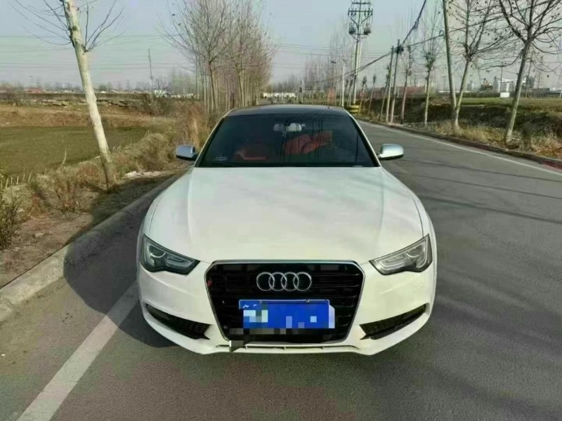 14年东营奥迪A5