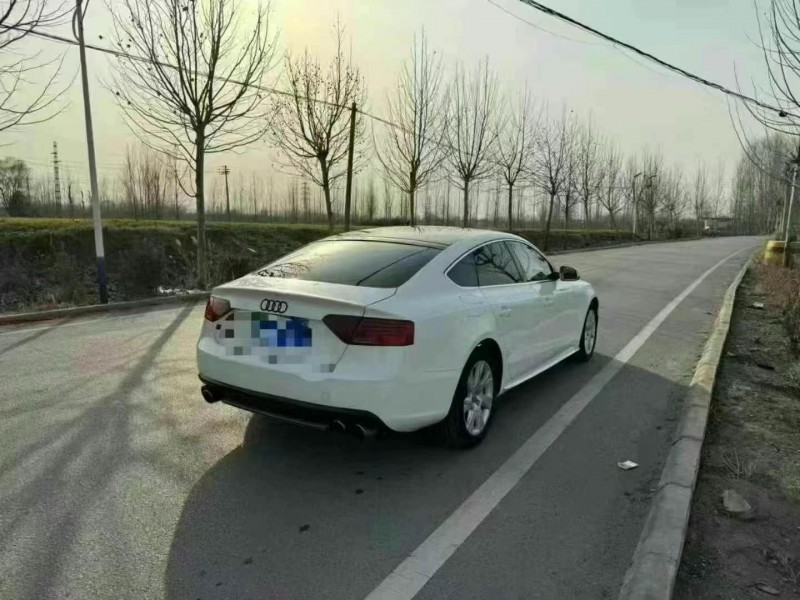 14年东营奥迪A5