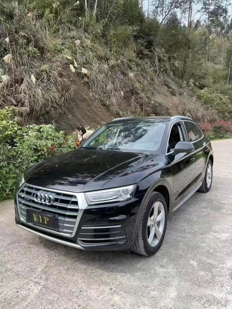 21年德阳奥迪Q5