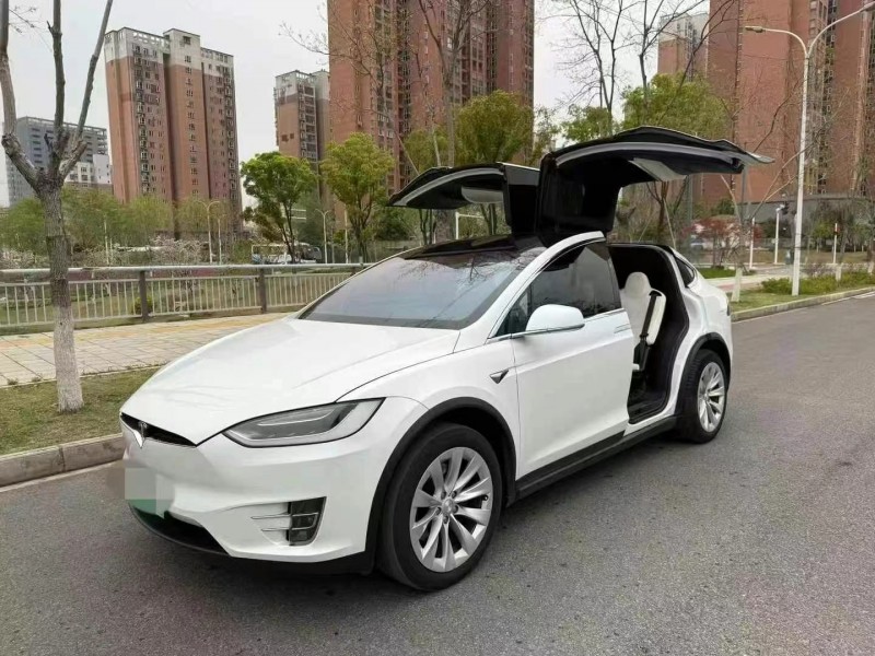 19年宜昌特斯拉MODEL X