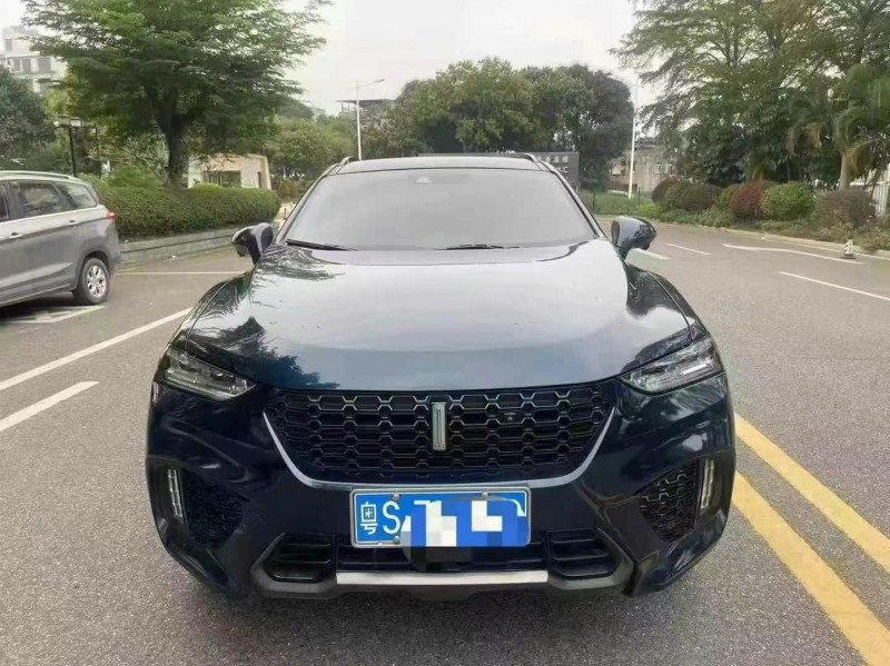 19年佛山长城汽车WEY VV7