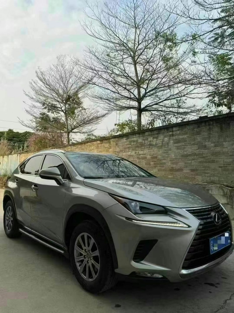 20年柳州雷克萨斯NX