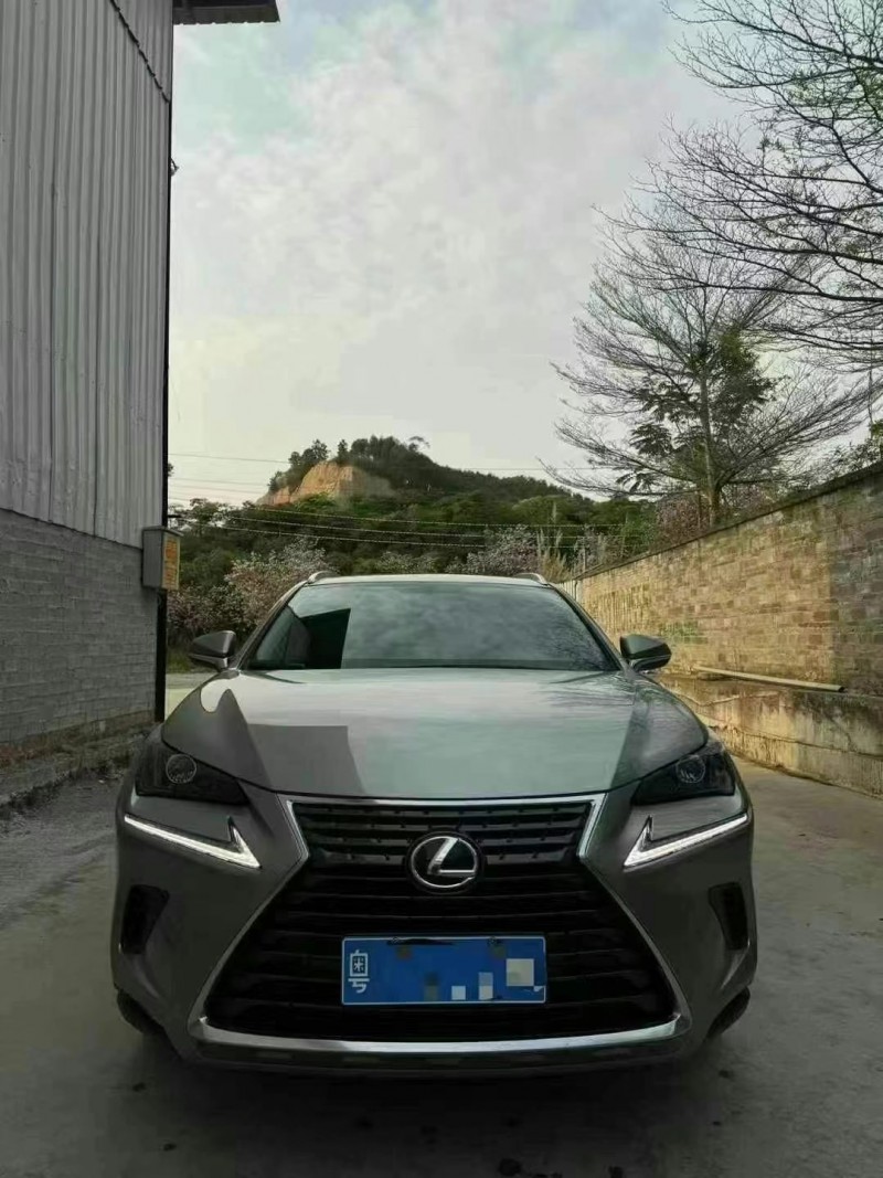 20年北海雷克萨斯NX
