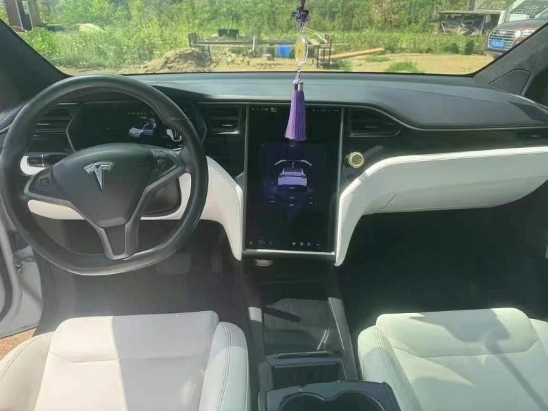 20年襄樊特斯拉MODEL X