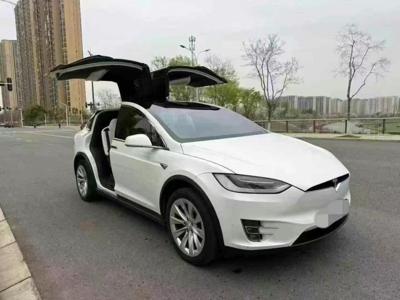 19年襄樊特斯拉MODEL X