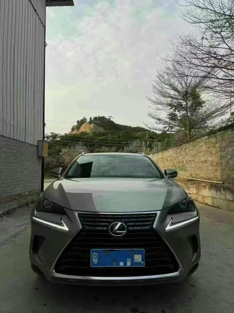20年柳州雷克萨斯NX