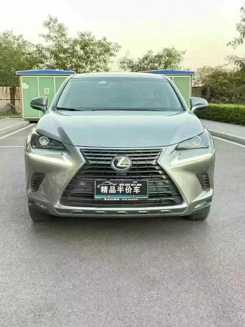 19年汕头雷克萨斯NX