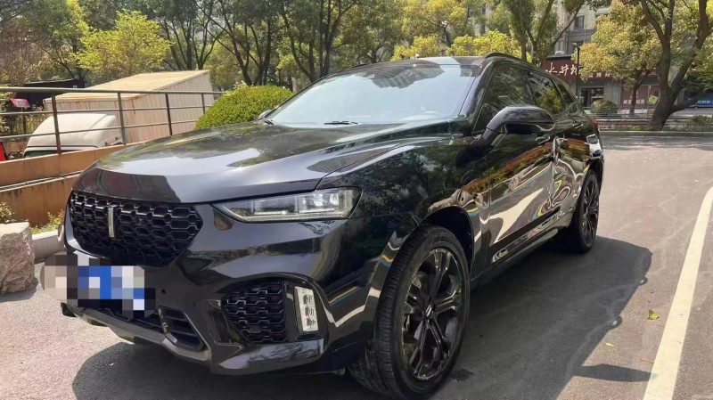 17年宁波长城汽车WEY VV7