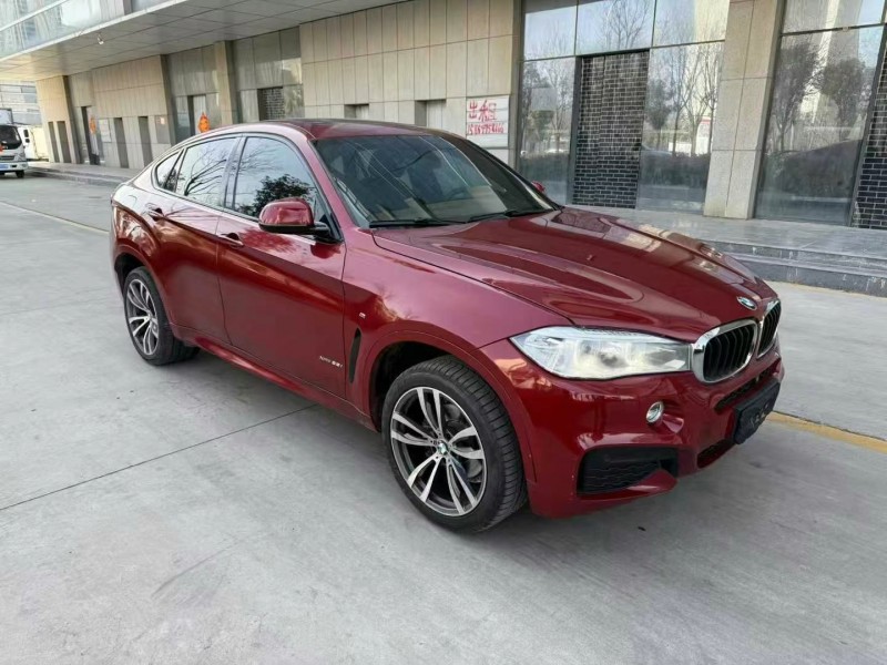19年东营宝马X6