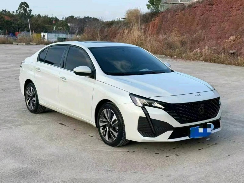 24年岳阳标致408