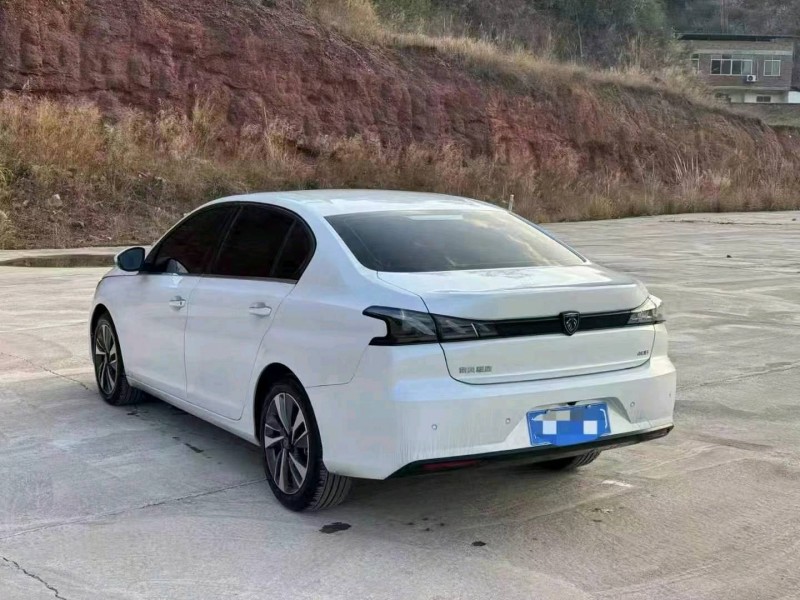 24年岳阳标致408