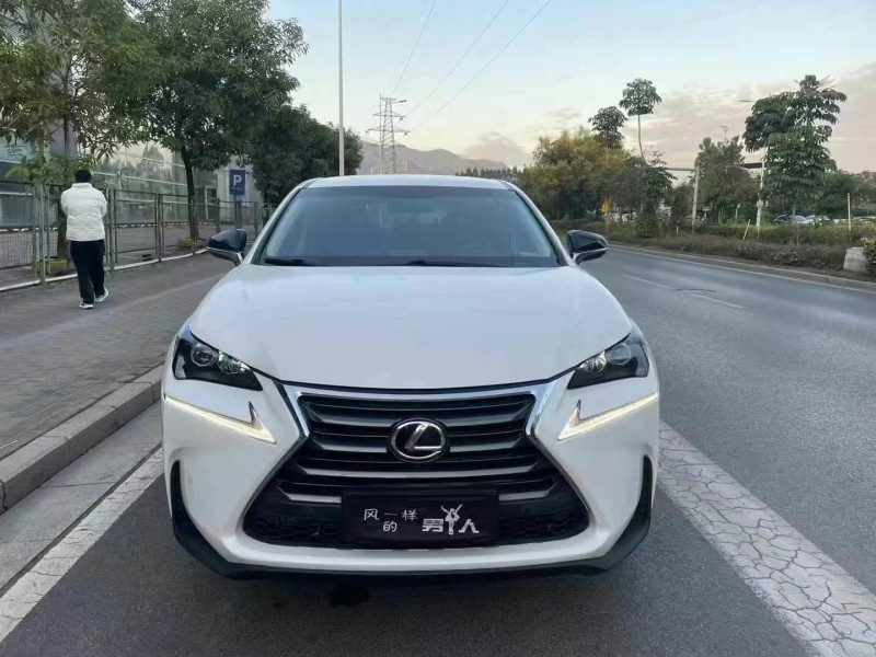 16年佛山雷克萨斯NX