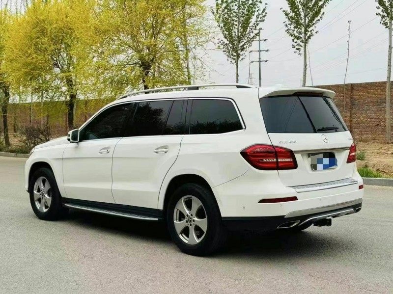 19年潍坊奔驰GLS