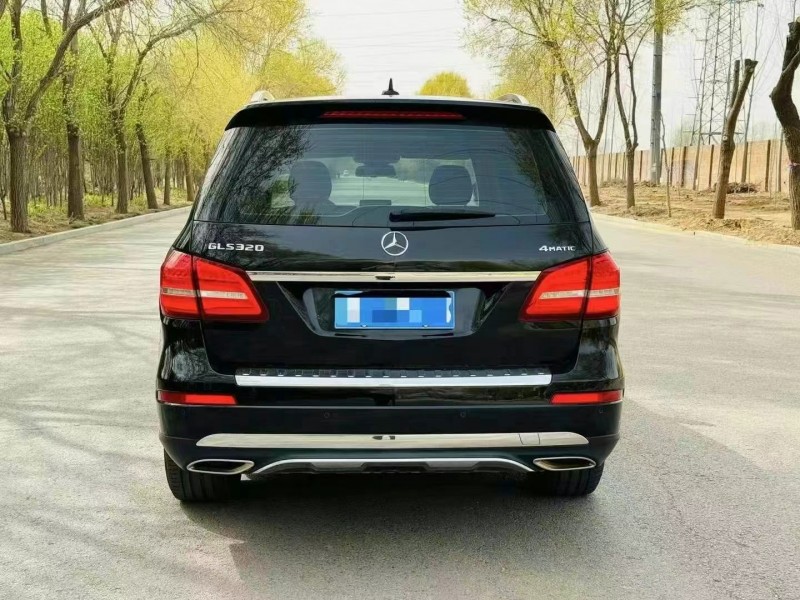 19年枣庄奔驰GLS