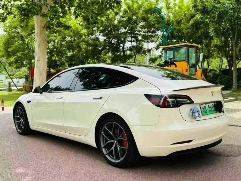 21年枣庄特斯拉MODEL 3