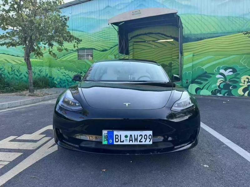 22年佛山特斯拉MODEL 3