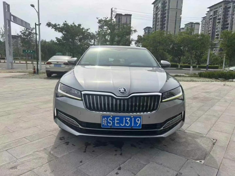 20年淮南斯柯达速派