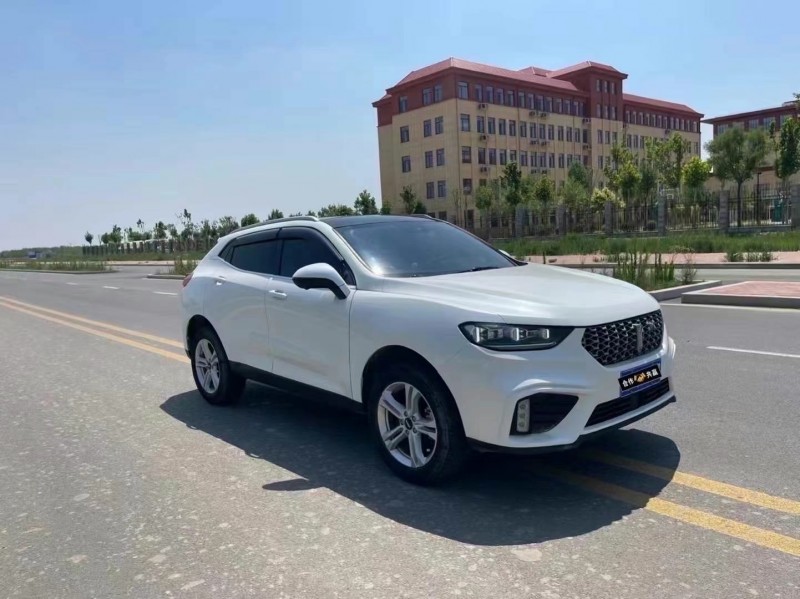 20年邢台长城汽车WEY VV5