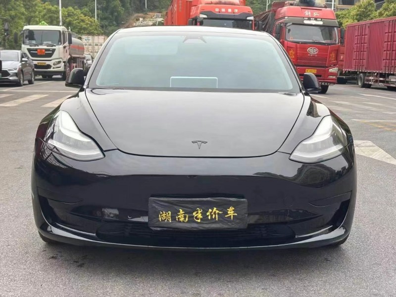 20年邵阳特斯拉MODEL 3