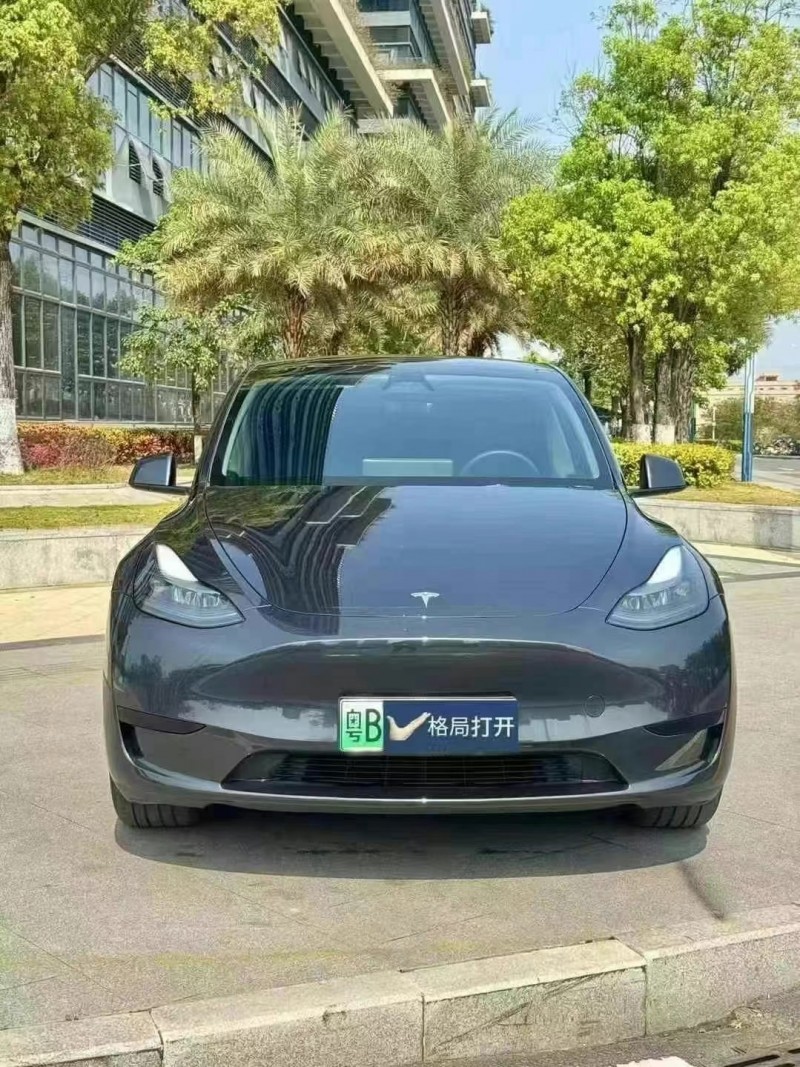 24年佛山特斯拉MODEL Y