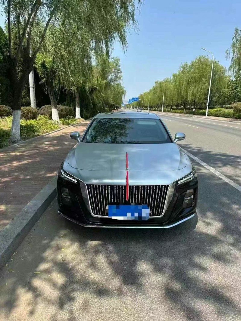 24年东营红旗H5