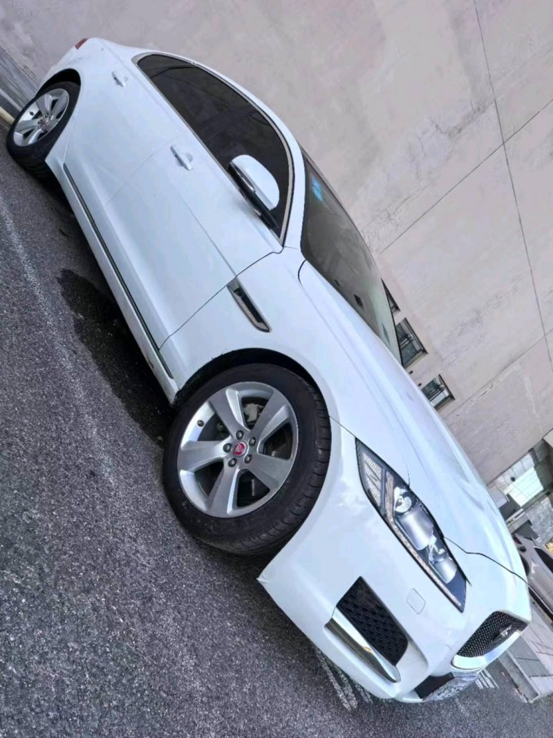 18年营口捷豹XFL