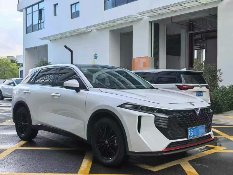23年深圳启辰大V