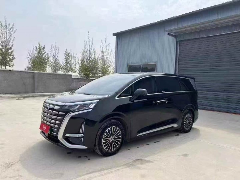 23年乌鲁木齐腾势D9