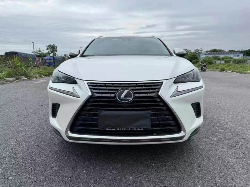 19年钦州雷克萨斯NX