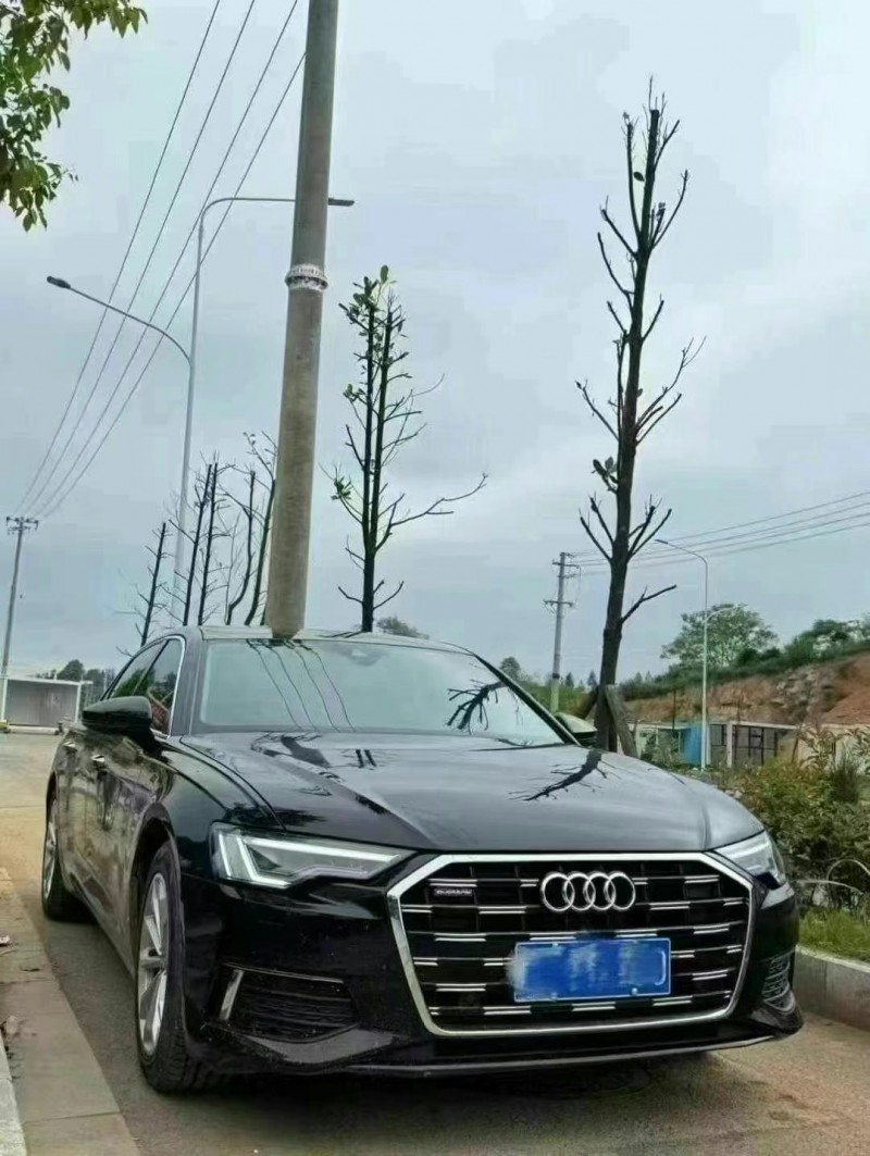 21年株洲奥迪A6L