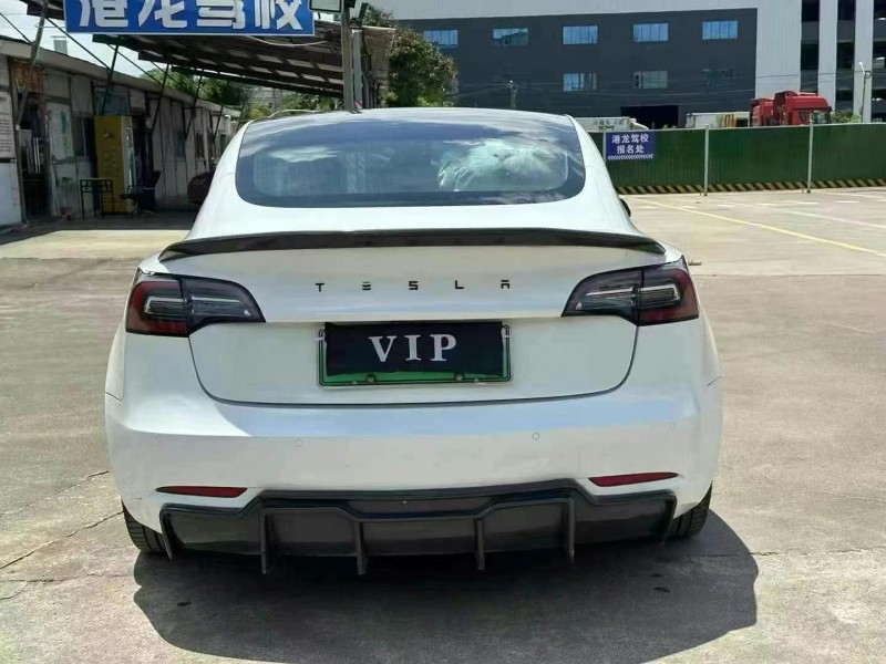 20年肇庆特斯拉MODEL 3