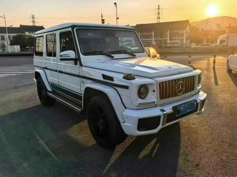 17年南京奔驰G