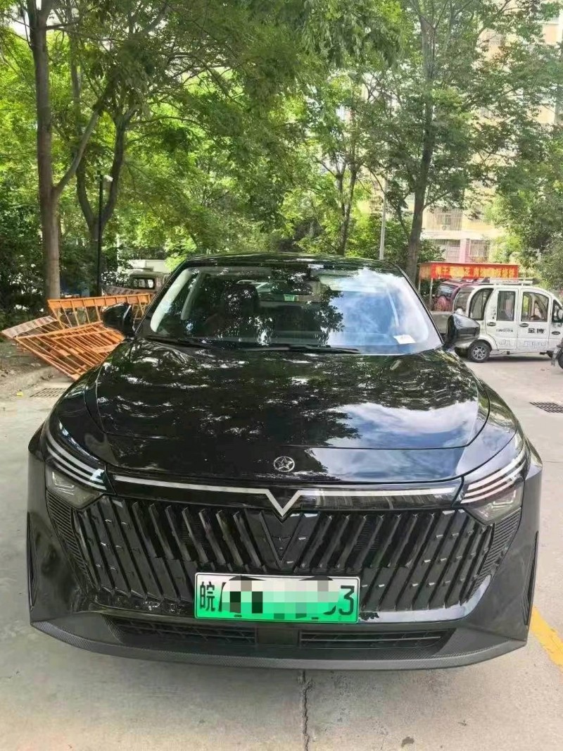 24年阜阳启辰大V