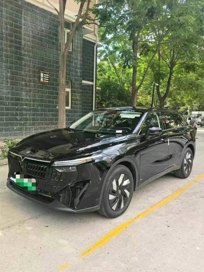 24年阜阳启辰大V