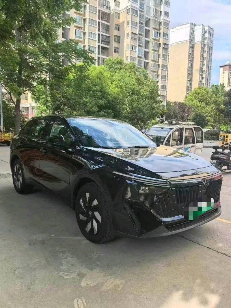 24年阜阳启辰大V
