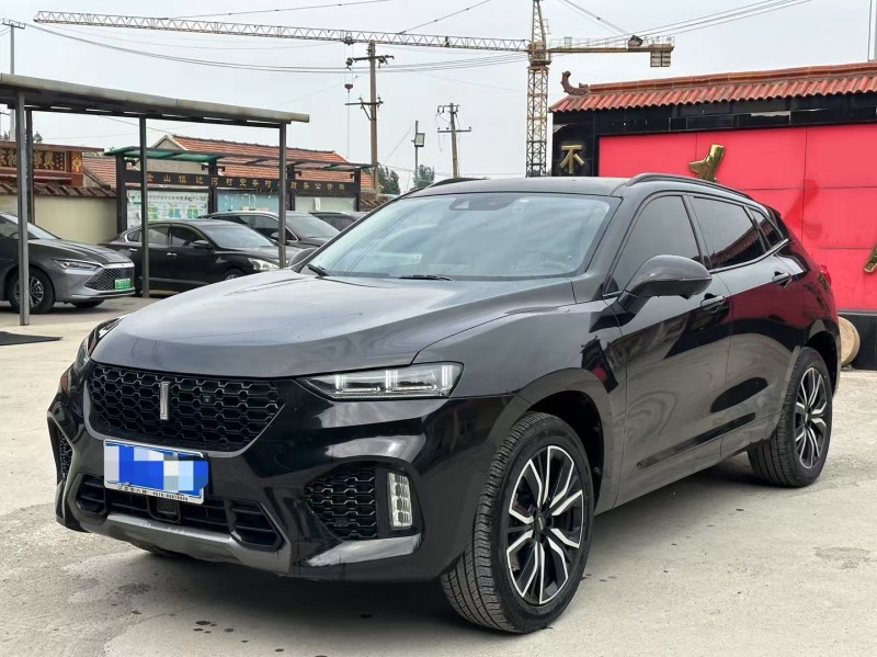 19年淄博长城汽车WEY VV7