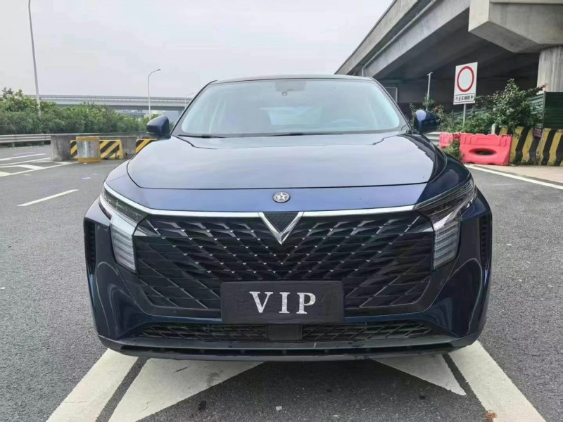 22年广州启辰大V