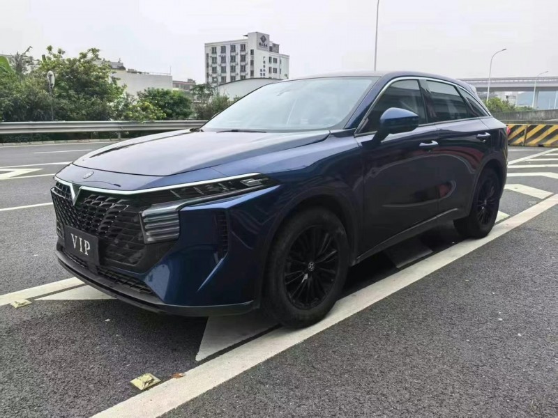22年广州启辰大V