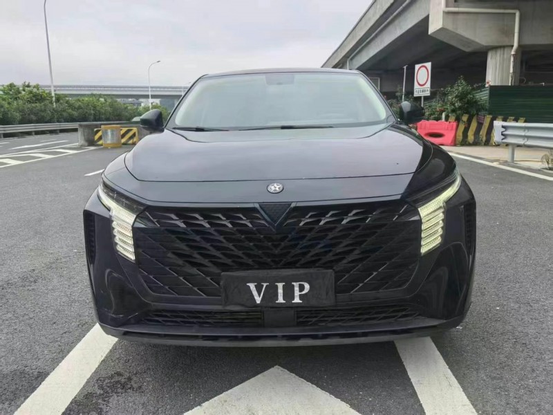 22年广州启辰大V