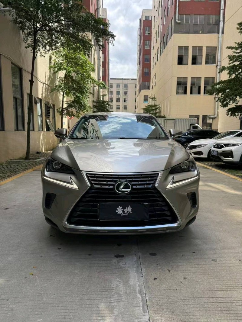 18年广州雷克萨斯NX